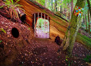 Eco Forest Escape