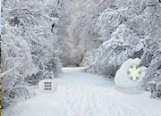 Snow Forest Adventure Escape