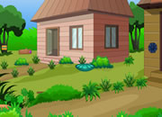 Pig House Escape