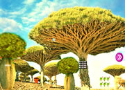 Escape Seedling Afforest