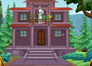 Traditional House