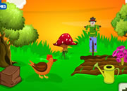 Farm