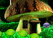 Mushroom Fantasy Forest Escape