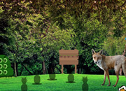 Wild Fox Forest Escape