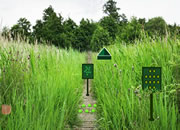 Family Escape From Tall Grass