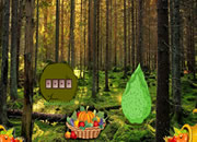 Nature Fruit Forest Escape