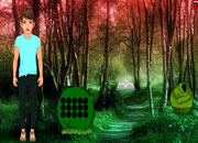 Trekking Boy Forest Escape