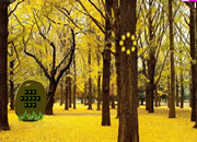 Blossam Yellow Forest Escape