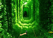 Growing Green Tunnel Escape